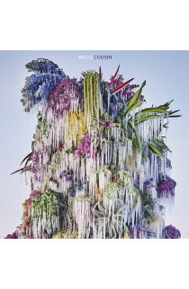 Wilco - Cousin (CD) 