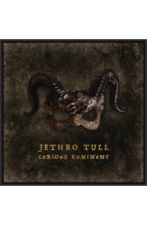 Jethro Tull - Curious Ruminant (LP) 