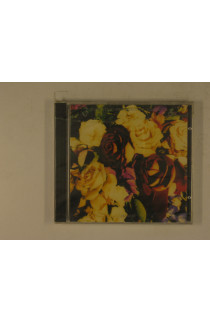 Stewart Dave - Spiritual Cowboys