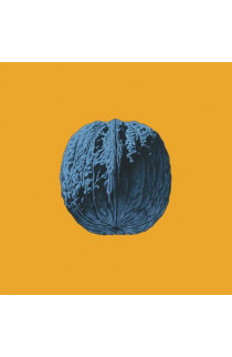 Brunori Sas - L'Albero Delle Noci (LP) 