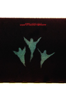 Bonnie "Prince" Billy - Ghosts Of American Psychonauts (CD) 