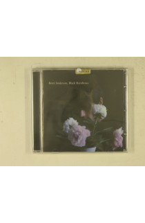 Anderson Brett-Black Rainbows - Black Rainbows