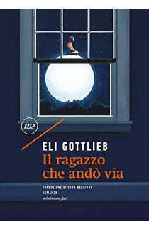 Il Ragazzo Che Andò Via - Eli Gottlieb (LIBRO) 