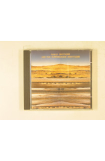 Radar Brothers - And The Surrounding Mountains