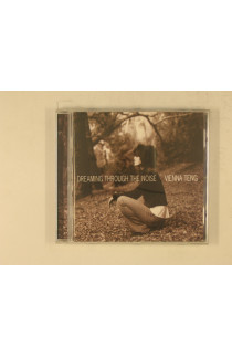 Teng Vienna - Dreaming Through The Noise