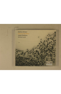 Stefano Bollani Trio - Stone In The Water (CD) 
