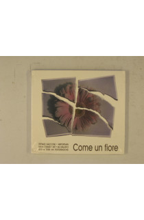 Giaccone Stefano - Come Un Fiore