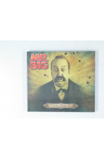 Mr. Big - ...The Stories We Could Tell