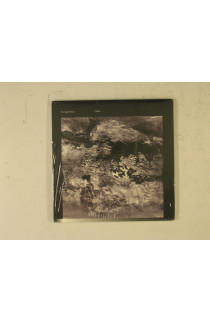 Sight Below - Glider