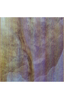 Akron/Family - Sub Verses (CD) 
