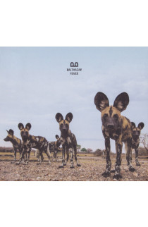 Balthazar - Fever (CD) 