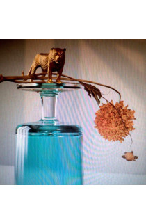 Beirut - Gallipoli (CD) 