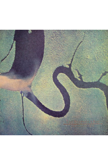 Dead Can Dance - The Serpent's Egg (LP) 