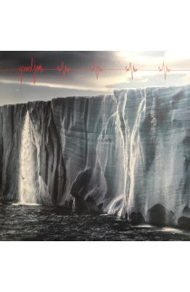 Pearl Jam - Gigaton (LP) 