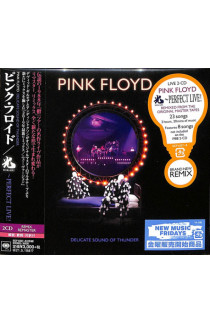 Pink Floyd - Delicate Sound Of Thunder (CD) 