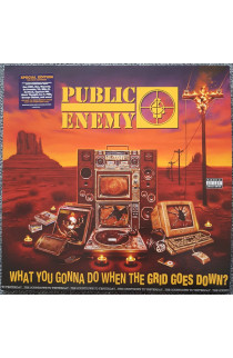 Public Enemy - What You Gonna Do When The Grid Goes Down? (LP) 