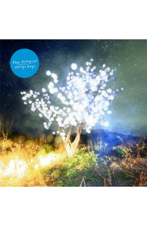 The Notwist - Vertigo Days (CD) 