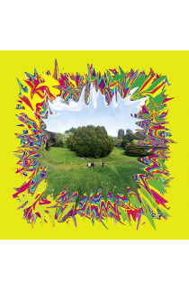  Cosmo - La Terza Estate Dell'Amore (LP) 