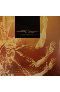 Tool - Fear Inoculum (LP) 