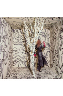Madison Cunningham - Revealer (CD) 