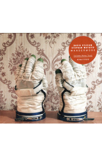 Stephan Mathieu, David Sylvian - Wandermude (CD) 