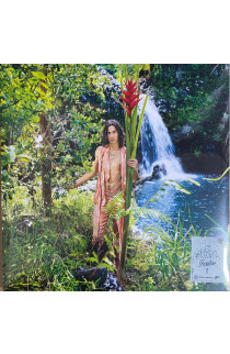 Tedua - La Divina Commedia (Paradiso Artwork) (LP) 