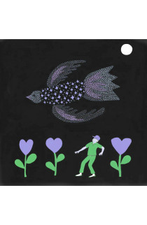 Bonnie "Prince" Billy - The Purple Bird (LP) 