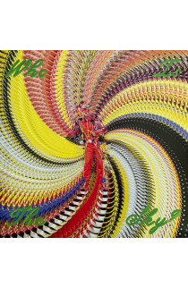 David Byrne - Who Is The Sky? (LP)