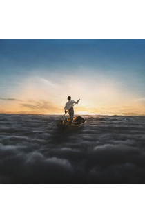 Pink Floyd - The Endless River (LP) 