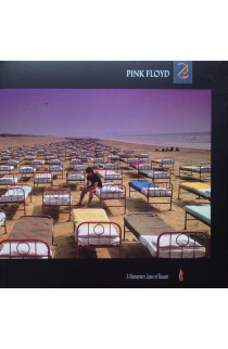 Pink Floyd - A Momentary Lapse Of Reason (LP) 