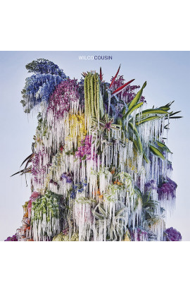 Wilco - Cousin (CD) 
