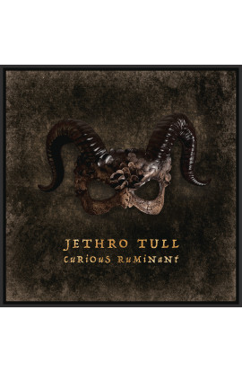 Jethro Tull - Curious Ruminant (LP) 
