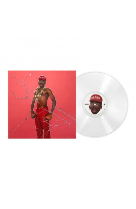 Tyler, The Creator - Don't Tap The Glass (LP) 