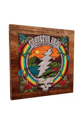 The Grateful Dead - The Music Never Stopped (CD) 
