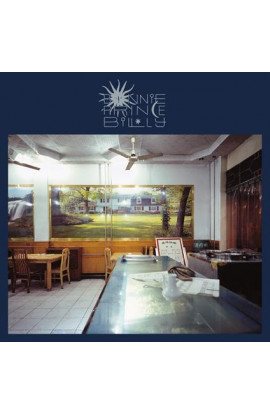 Bonnie Prince Billy - Keeping Secrets Will Destroy You (LP) 