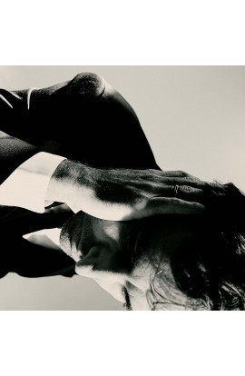 Andrew Bird - Inside Problems (LP) 