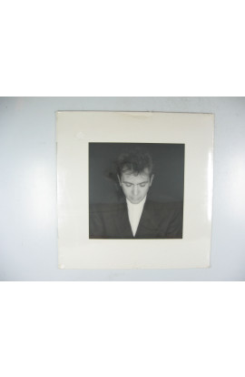 Peter Gabriel - Shaking The Tree: Twelve Golden Greats