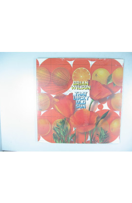 Wilson Brian - That Lucky Old Sun