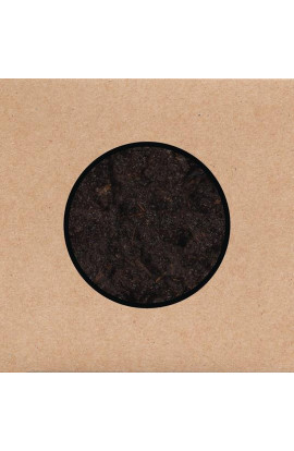 Swans - Birthing (CD) 