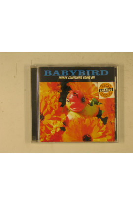 Babybird - There'S Something Going On