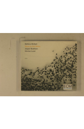 Stefano Bollani Trio - Stone In The Water (CD) 