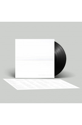 Foo Fighters - But Here We Are (LP) 
