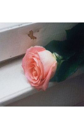 Planet Funk - Bloom (CD) 