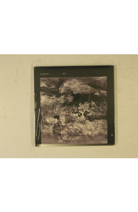 Sight Below - Glider