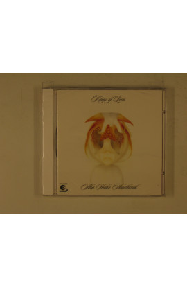 Kings Of Leon - Aha Shake Heartbreak