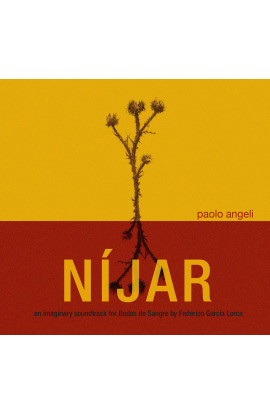 Paolo Angeli - Nìjar (CD) 