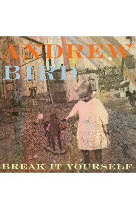 Andrew Bird - Break It Yourself (CD) 