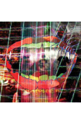 Animal Collective - Centipede Hz (CD) 