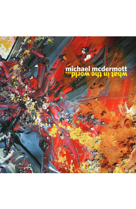 Michael McDermott - What In The World 