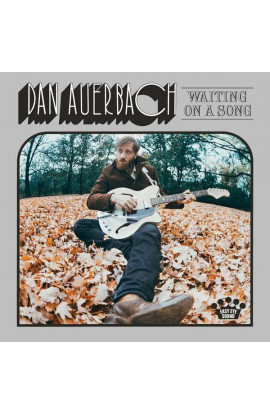 Dan Auerbach - Waiting On A Song (LP) 